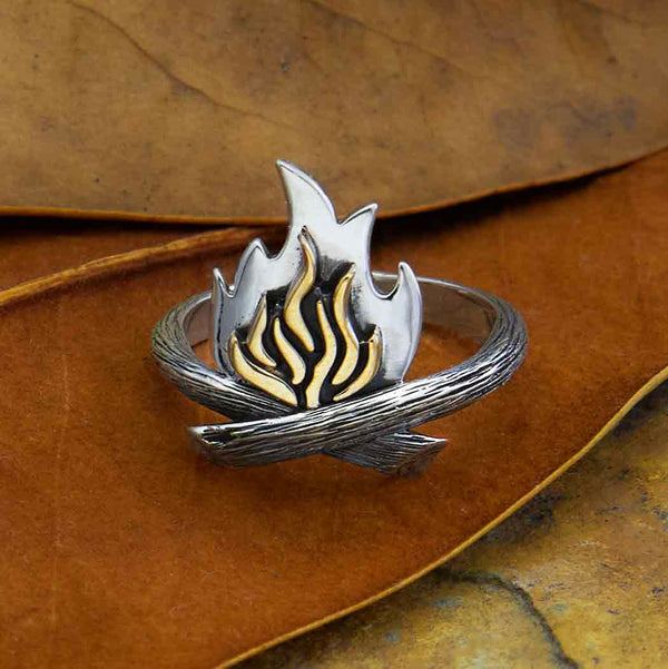 Sterling Silver and Bronze Campfire