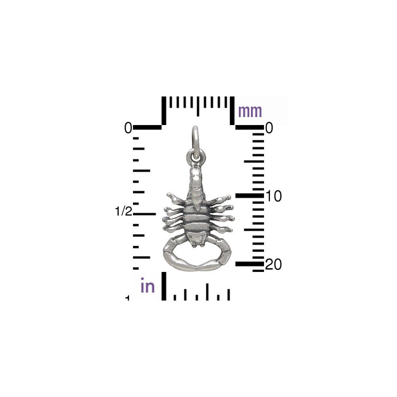 Sterling Silver Realistic Scorpion Charm - Poppies Beads n' More