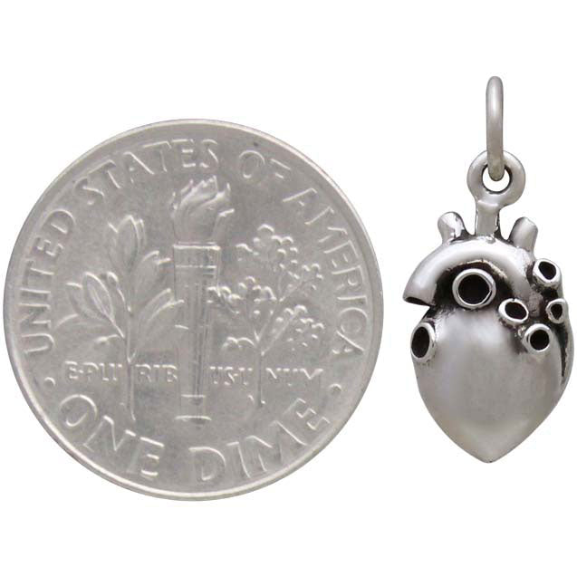 Stering Silver Small 3D Anatomical Heart Charm - Poppies Beads n' More